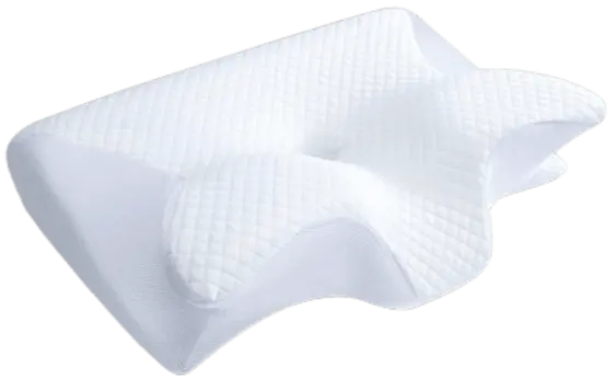 Ergo Z Pillow 1